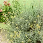 Tatijana Διαμέρισμα Μακάρσκα