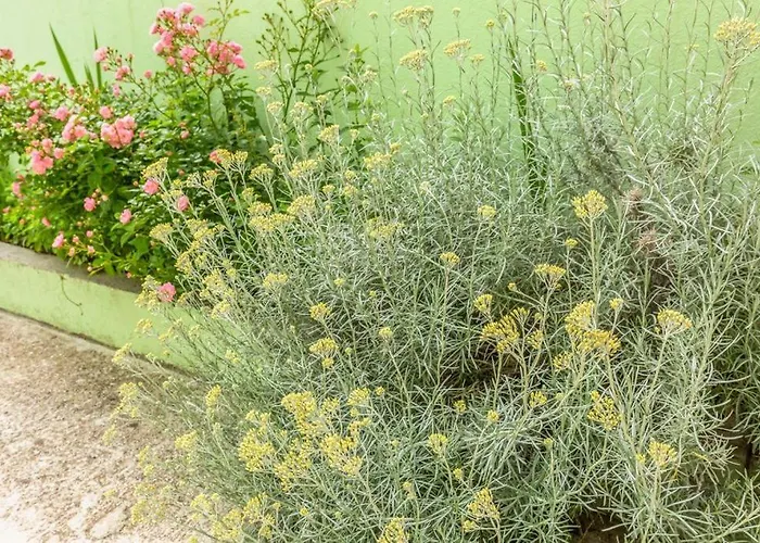 Tatijana Apartment Makarska